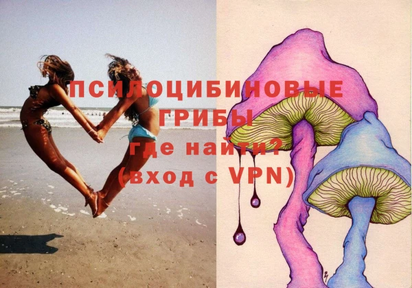 мдпв Алзамай