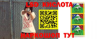 мяу мяу кристалл Волжский
