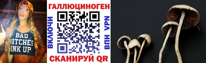 Галлюциногенные грибы Psilocybine cubensis Гурьевск