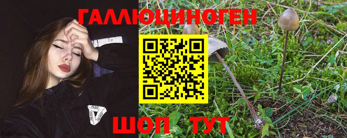 Галлюциногенные грибы ЛСД Гурьевск