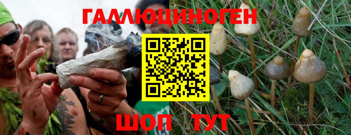 Псилоцибиновые грибы Psilocybine cubensis  Вход с VPN  Псилоцибиновые грибы ЛСД  Гурьевск 