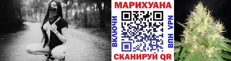 Канабис OG Kush Гурьевск